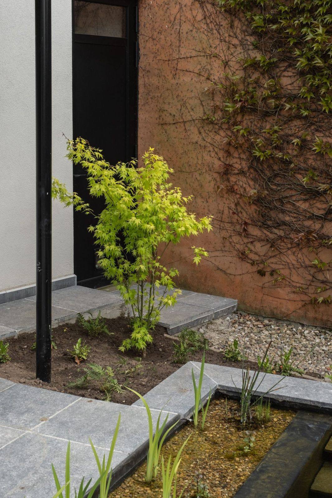 Japans geïnspireerd tuinhoekje met Japanse esdoorn, kiezels en smalle waterloop